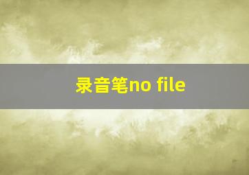 录音笔no file